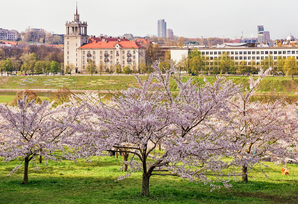 Reformatų parkas – ką žino tik senieji vilniečiai?